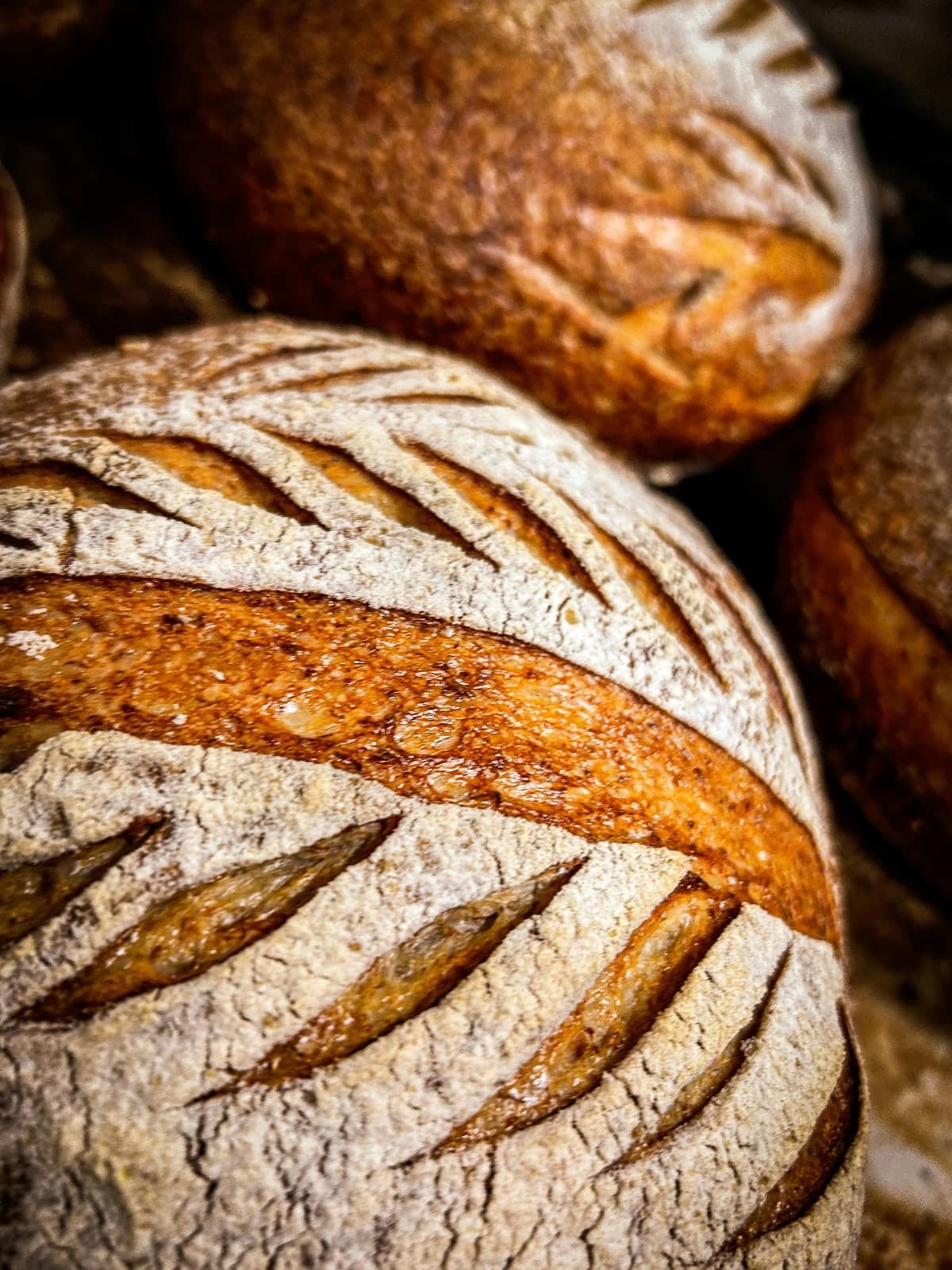 Miche au levain dorée, spécialité de la boulangerie.